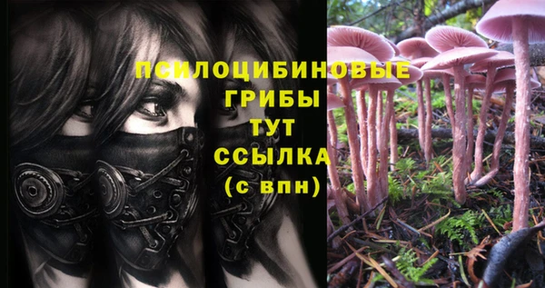 ECSTASY Белоозёрский