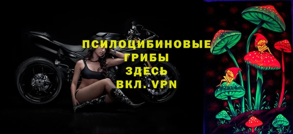 меф Белокуриха