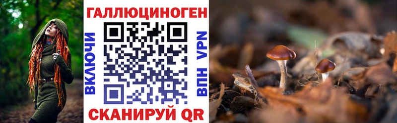 площадка состав  где можно купить наркотик  Чусовой  Псилоцибиновые грибы ЛСД 