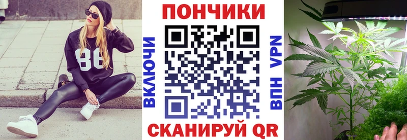 купить   Чусовой  Канабис Amnesia 